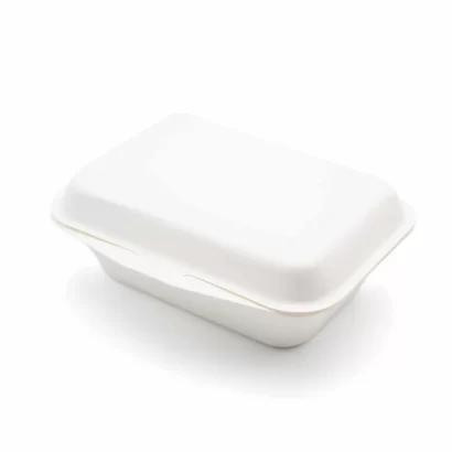 Bagasse BHB9 Flat Lid Eco   Boxes (N9) 1x200