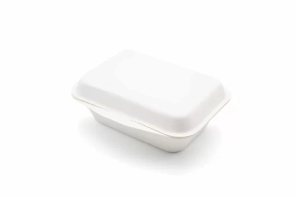 Bagasse BHB9 Flat Lid Eco   Boxes (N9) 1x200