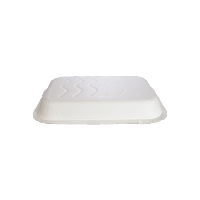 BP33 Tray 1x1